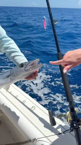 Oooohhhhh barracudaaaa😜😜😜 Almost got us 😅 Those teeth!!! #fishing #boat #fishingtiktoks #foryou #girlswhofish #trolling #barracuda 