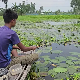 Traditional Hook Fishing - Fish Hunting By Hook - Fishing With Beautiful Nature 