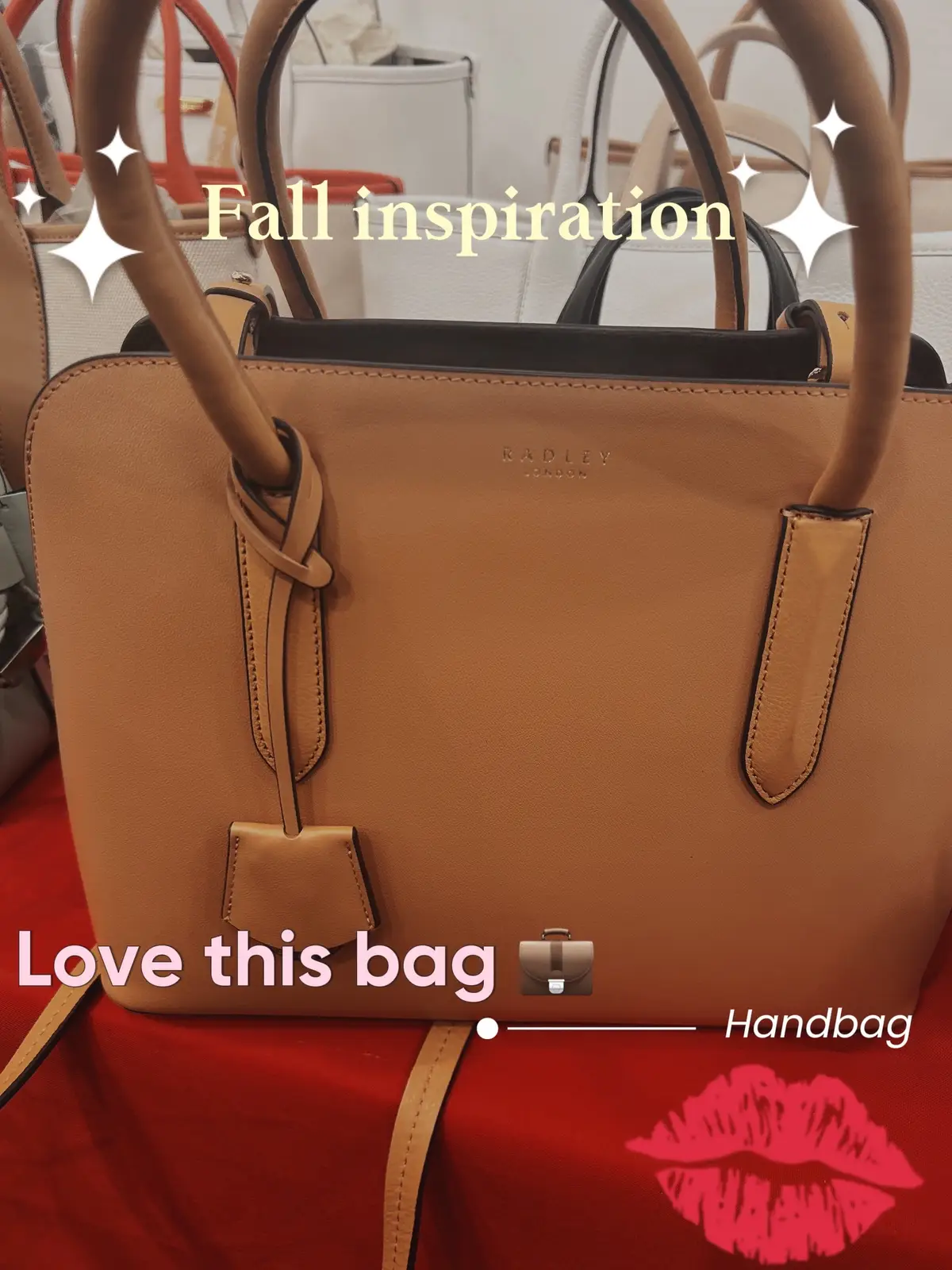 #​fallhandbagcollection #​fallbags #​embracevulnerability #​travelwithme2024 #​fashionfinds #​Lemon8Diary #​fallseasonhandbags #​lemon8creator #​beautyfinds #​beautyfinds#Lemon8 