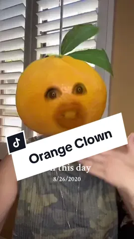 the only thing that’s changed from this post 4 yrs ago, is that orange clown will never be president again #harriswalz #kamala #kamalaharris #voteblue #words #trumpet #clown #onthisday 