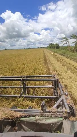 dô kèo mà bầu trời kì qa.🥴@Xuyến em @Vân Đá 1989 @Tặng nguyễn @Khang Ok @Đăng xì tũn (plus🐇) @nho_nguyen1995 