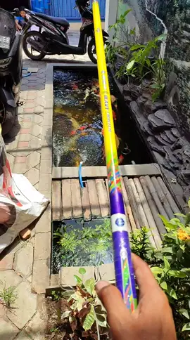 HEAVY FIGHTER 480 #xpirates #muzhimu #zztpy #heavyfighter #480  #ruaspanjang #tegekkaku #tegekringan #elegant #fyp #viral #menyalaabangkuh🔥 