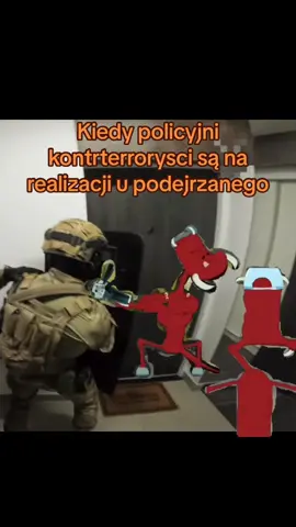 Każda porażka jest nawozem sukcesu #policijosmemos #polskapolicja #policja #mundurowka #spkp #realizacja #podejrzany #zatrzymanie #na #mieszkaniu 