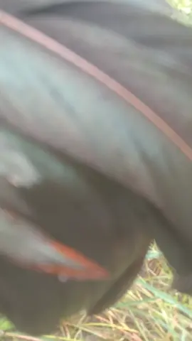 được k ae 🤣🤣 chúc mọi người ngày mới vui vẻ 🥰