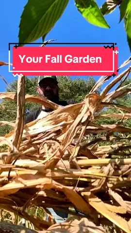Don’t fall behind. The time to plan your fall garden is now. #homestead #garden #fall #DIY 