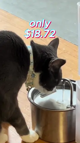 Pet drinking basin