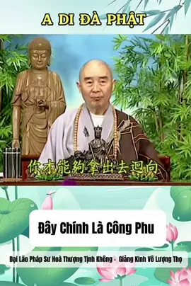 THẬT CÔNG PHU Ở Ý NGHIỆP, THÂN KHẨU LÀ THUỘC VỀ GIỚI HỌC Ý NGHIỆP LÀ ĐỊNH HUỆ   Pháp Sư  Đại Lão Hoà Thượng Tịnh Không giảng Kinh Vô Lượng Thọ trích đoạn  ( tập 123 )  #phapsutinhkhong #hoathuongtinhkhong #niemphatvangsanh #adidaphat🙏🙏🙏 #adidaphat #xuhuong #xuhuongtiktok #