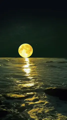 #foryou #natureview #nightview #moonview #fypage #healingvideo #sceneryvideos🏕️🌳☘️🍀 