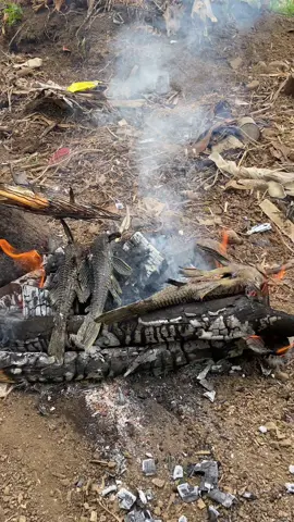 Bakar Ikan Sapu - Sapu #purwokerto #ngapakbanyumas #ngapakcilacap #ngapaktegal #ngapak #fyp 