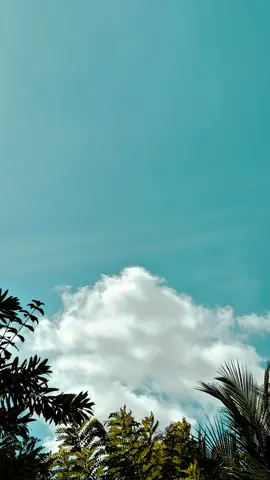 For admin 💐💗 | ලස්සන☁️🩵 #foryou #quotes #sinhalaquotes #goviral #fyppppppppppppppppppppppp #backgroundvideo #whatsappstatus #clouds #sunset #sunsetlover #cinematography 