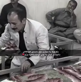 #Sing_Oldies #اغاني_فارسية #khabylame #ئەکتیڤبن🥀🖤ـہہـ٨ــہ #fyp #foryou 