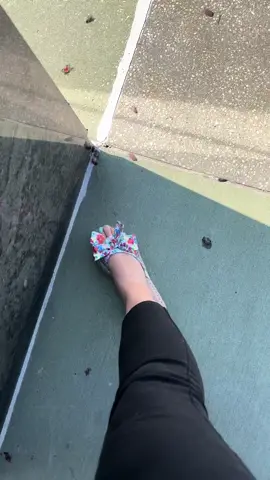 Replying to @bobby172738 99% sure like 5 landed on me 🤢🤢 it’s a literal war zone walking into the building #fyp #spottedlanternfly #invasivespecies 