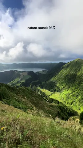 Shh… 🤫 nature sounds 🎼 📍Location: Miradouro da Boca do Inferno, São Miguel, Azores, Portugal 🇵🇹 Follow @xtravel.azores for more inspiring content and travel tips from Azores  #A#AzoresV#VisitAzoresS#SãoMiguelH#HikingAdventureS#ScenicViewsS#ScenicTrailb#bucketlistadventuresA#AzoresPortugalD#DiscoverAzoresf#familytravelsT#TravelDestinationsB#BeautifulDestinationsI#IncredibleViewA#AzoresPortugalTravelPortugal