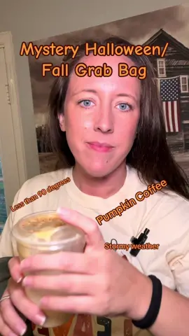 TWO comfort color Tees in a mystery grab bag! So many cute halloween and fall designs! Get yours before its too late! #grabbag #fallfavorites #halloween #fallshirts #fashionistafaves #tiktokshop #buynow 