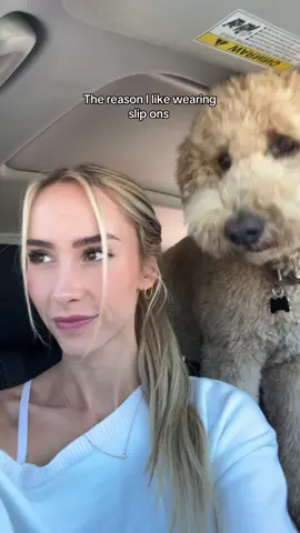 Life of a dog mom #dogs #dogsoftiktok #dogowners #dogtok 