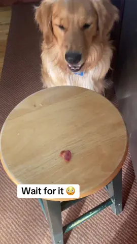 That goes demure-ness lol 😆 #demure 