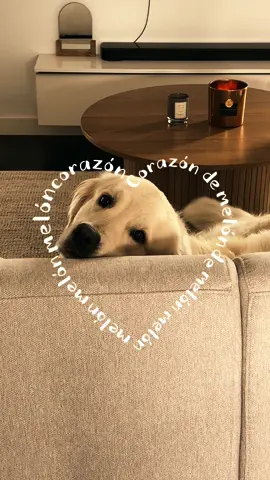 Mon coeur tout entier 🥹❤️#CapCutAmor #CapCutAmor #corazondemelon #CapCutAmor 