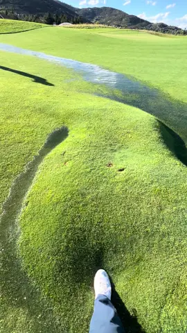 Grass Water Bubble up in the mountains of Park City Utah.  #golftiktok #waterbubble #leak #water #golf #grass #wet #soggy #golfing #golftok #viral #utahgolf #parkcity #golfer #wild 
