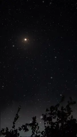 الفكر يا إنسان | بدون موسيقى  #الفكر_يا_انسان_لو_اطلقته #بدون_موسيقي #abo_geren 