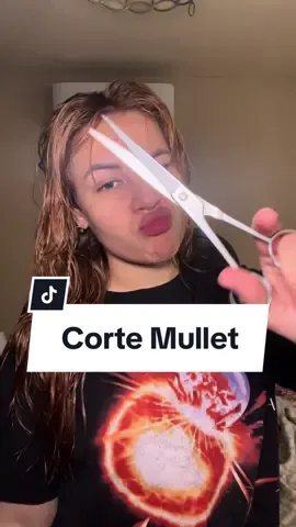 Corte Mullet/Shaggy para cabello Rizado 😮‍💨 (NO SOY UNA PROFESIONAL) porfi no lo intentes en casita💕 #cabellorizado #mullethaircut #shaggyhair #cortedecabello #cortedepelo