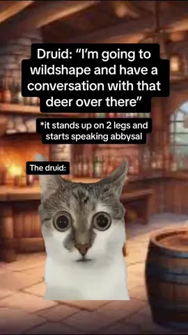 Druid “Oh my mistake, i didnt realize it was this kind of neighborhood” #dnd #dndtiktok #5e #dndmememes #dungeonsanddragons #criticalrole #ttrpg #nerdy #nerdtok #dndmeme 