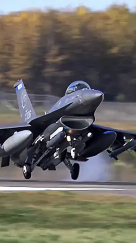 F-16 Fighting Falcon aka F-16 Viper #foryou 