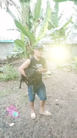 Buổi sáng chúc các anh chị ngày mới vui vẻ ạ ..!! Và mong là sẽ có ai đó hãy thả tim cho em🥰🥰🥰🥰🏜️