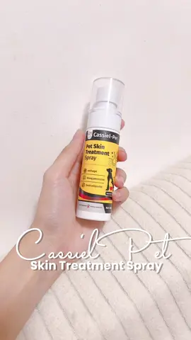 Meowmies, kung problem niyo rin ito ngayon must have na tong spray na to! Ilang spray lang makikita agad ang resulta sa ating furbabies 🐈 #cassielpet #cassielpetphilippines #cat #kittensoftiktok #pet #PetsOfTikTok #catph #catloversoftiktok #cattok 