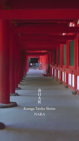 春日大社｜Kasuga Taisha Shrine THE charm of Nara🇯🇵 @keeen_films 世界遺産にも登録されている春日大社。 暑い夏の朝。朱色の世界に魅了されました✨ Kasuga Taisha Shrine is also registered as a World Heritage Site. On a hot summer morning, I was fascinated by the vermilion world✨ 奈良市春日野町160／160 Kasugano-cho, Nara City #japantrip  #naratrip #春日大社