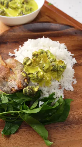 Episod 510 | Resepi Siput Sedut Masak Lemak Cili Padi | 2 Minit 1 Resepi by Che Sayang Kitchen Resepi penuh; - 1-2kg siput sedut dibersihkan - 15 tangkai cili padi - 2 inci kunyit hidup - 1 asam keping - 1 cawan santan fresh - 1/2 cawan air - Garam - Perasa #resepichesayang #chesayangkitchen #siputsedut 