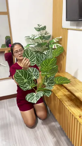 Ang gaganda naman kase talaga #artificialplant #plants #homedecor #aesthetic #fyp 