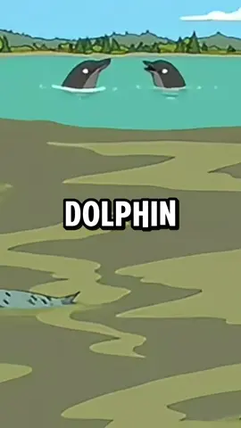 Family guy black dolphins part 1 #familyguy #bestmoments #funny #cursed #images #dophin 