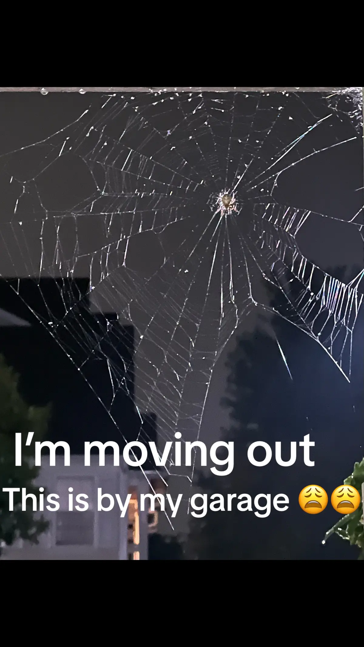 #spiders #payrentorgetremoved #scaredforlife #sendhelplol 