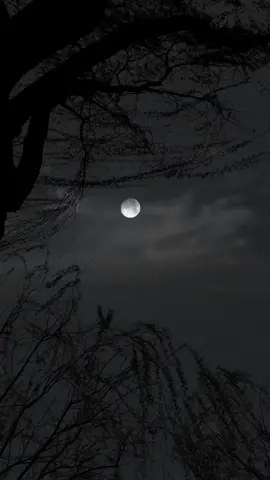 la chispa adecuada - enrique bumbury #musica #letras #viral 