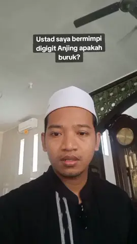 bermimpi digigit anjing apakah buruk? #dakwah_islam #trending #viralvideotiktok #baweanisland 