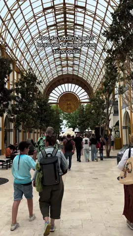 c’etait incroyable @hugonormand ❤️ #pairidaiza #zoo #belgium #pourtoii #like #fyp 