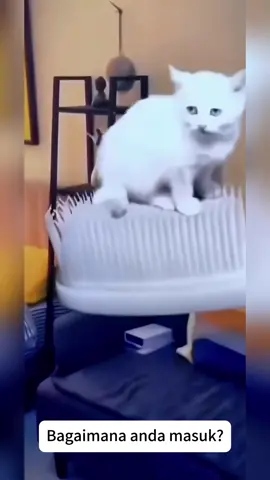 Gigi kuning dan kotoran gigi sukar dibersihkan? Cuba ubat gigi ini, selepas digunakan gigi akan bersih sepenuhnya, membuatkan anda gembira sepanjang hari! #ubatgigi pemutih#UbatGigiProbiotik#HilangkanKariesGigi#PenjagaanGusi#AntiBauMulut#PenjagaanMulut#MembersihkanGigi#RekomendasiUbatGigi#SenyumanYakin#KesihatanMulut#HilangkanStainRokok#HilangkanStainTeh#TeknikMemutihkanGigi#Malaysia#PenjagaanMulutMalaysia