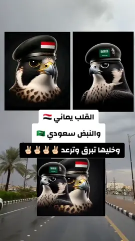 #اليمن🇾🇪المملكة🇸🇦 #tiktoklongs #fypシاكسبلورexplore #مشاهير_تيك_توك_مشاهير_العرب #الشعب_الصيني_ماله_حل😂😂 #اليمن_صنعاء_تعز_اب_ذمار_عدن_وطن_واحد #اليمن🇾🇪المملكة🇸🇦 @🇾🇪♧تـــــــركي♧🫡🇾🇪 @يوسف👑 @🇰🇷🇾🇪صنعاني في كوريا @برق اليمن 