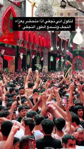 #عزاء_النجف_المهيب_اربعين_الحسين #كربلا #محرم_عاشوراء #هادي_مريطي #الرادود_هادي_مريطي #الاربعين #كربلاء #اكسبلورexplore_fypシ #النجف_الاشرف_الان #عزاء_النجف_المهيب_اربعين_الحسين #ياحسين💔 #الرادود_مرتضى_حرب #الرادود_حيدر_البياتي #الرادود_مسلم_الوائلي #الرادود_قحطان_البديري 