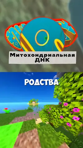 Когда обезьяна станет человеком? Самый первый человек на земле  #edit #world #foryoupage #foryou #nature #fyp #funny #anime #pov