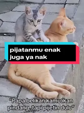 si oyen lgi dipijit#4 #kucinglucu #kucingagaklaen #bikinngakak🤣🤣 #kelakuansioyen😂 