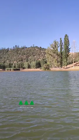 #imazighen♓♓❤️❤ #🌲🌲🌲 #بحيرة_ويوان_جبال_الأطلس🥰#🇲🇦#خنيفرة_ازرو_ميدلت_بني_ملال_الحاجب #ناس_الغربة #فرنسا🇨🇵_بلجيكا🇧🇪_المانيا🇩🇪_اسبانيا🇪🇸 #المغرب🇲🇦 