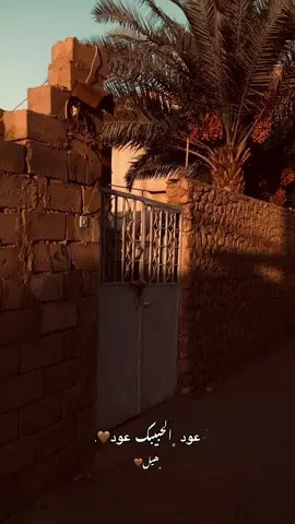 اعماركم ؟ #تصوير #تصويري📷 #حديثة_الانبار #اكسبلور #explore #لايكات 