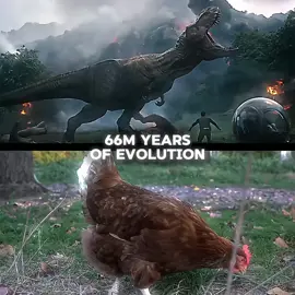 Human🥶🔥 // #dinosaur #dinosaurs #dino #history 