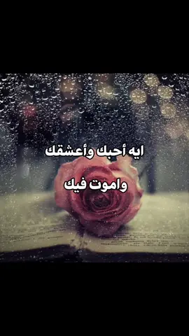 ايه أحبك وأعشقك واموت فيك #ايه_احبك_واعشقك_واموت_فيك #حالات_واتس #شيلات #تصميم_فيديوهات #حالات #ستوريات #حب #لحبيبتي #للحبيب #شوق