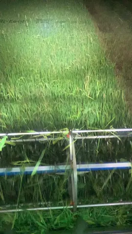 ส่งงานกลับบ้านนอน#ศิษย์เจริญการช่าง2024🌱🌾 #ทีมงานผู้ใหญ่ป้อม #สังกัดเสี่ยกร😁 #สุดเสมอ🌾 #วัยรุ่นยุดยา😁 