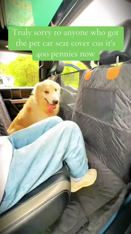GO BUY YOU ONE #dogmom #dogmomlife #dog #dogsoftiktok #dogsontiktok #dogcarcover #backseatcover #amazon #protection #shopping #musthaves #aussielife #aussie #thingsyouneed #thingsyoudidntknowyouneeded #fyp #foryou #gogetyouone #amazonstorefront 