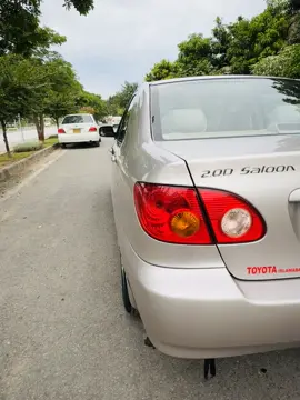 #foryou #foryoupage #antique #tiktokviral #chaudhary #TikTokPromote ❤️❤️❤️