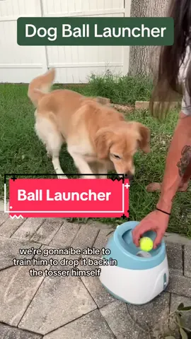 Your dog will have a blast with this automatic ball launcher. #balllauncher #dogtoys #dogs 