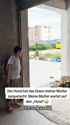 #funny #dog #lover #Der Hund hat das Essen meiner Mutter zerquetscht. Meine Mutter wartet auf den „Hund“.#comedy_category_mu #fyp #fypシ゚ľ #